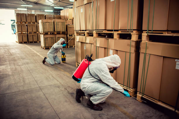 Best Mosquito Control Services  in Oroville, CA