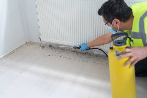 Best Rat Extermination Near Me  in Oroville, CA